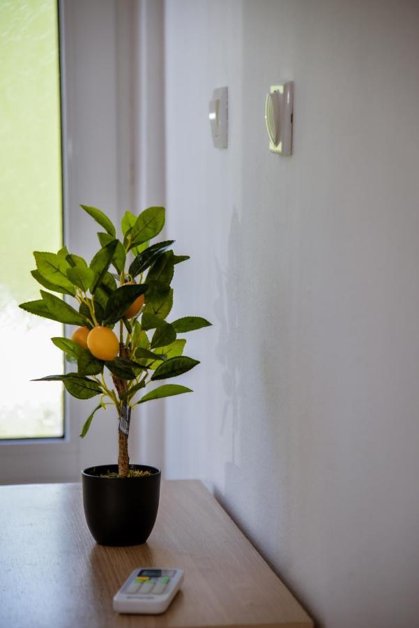 Apartment Nikola Kotor Eksteriør bilde